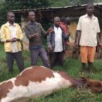 anthrax outbreak sparks quarantine measures in kazo district