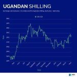 bank of uganda analyzes uganda shillings 2023 performance