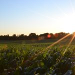 government allocates shs1 3 trillion for ambitious climate smart agricultural transformation