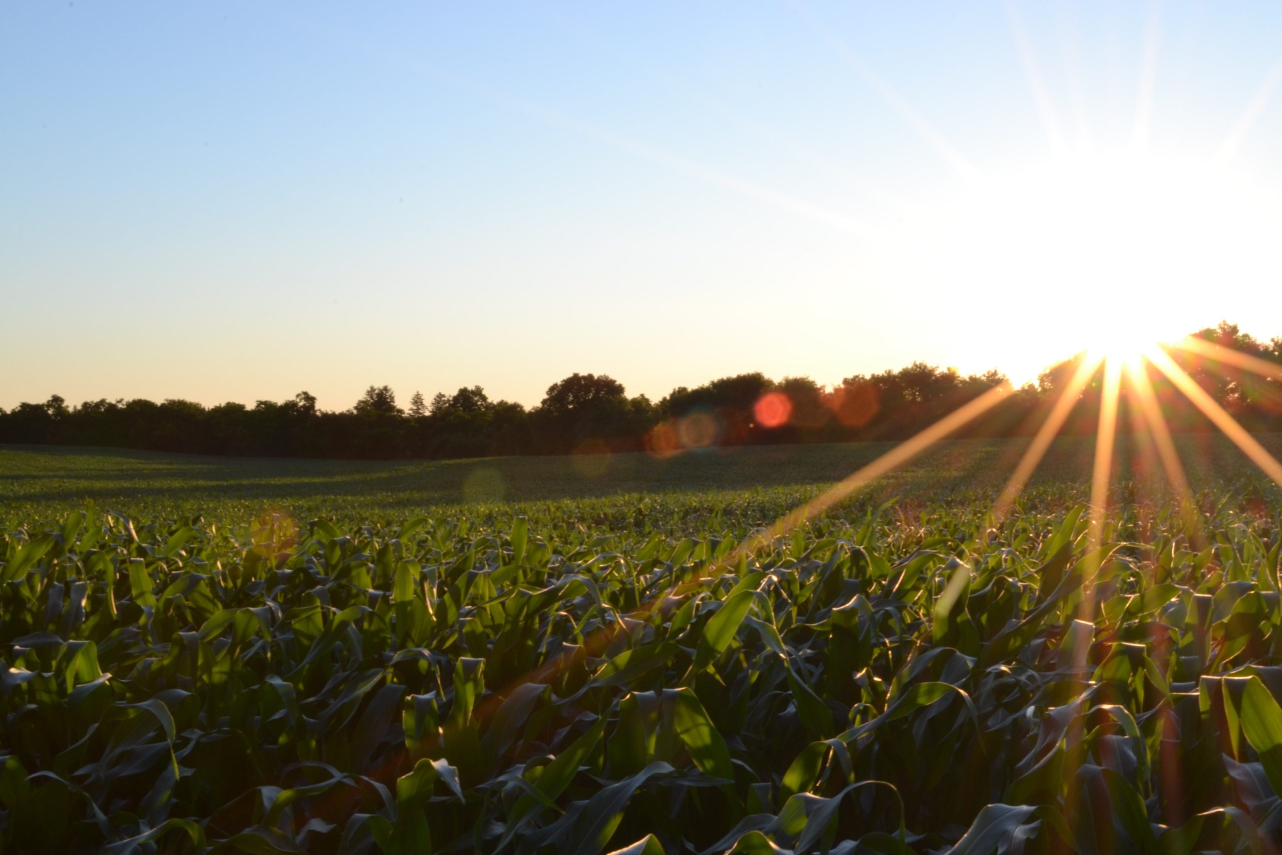 Government Allocates Shs1.3 Trillion for Ambitious Climate-Smart Agricultural Transformation