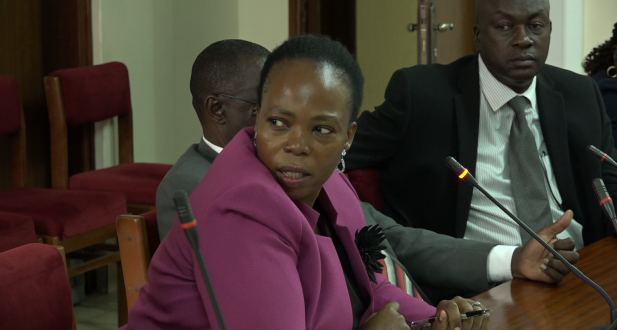 law development centre calls for investigation into suspicious law degrees from universities
