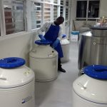 makereres gmi labs achieves approval for dna paternity testing