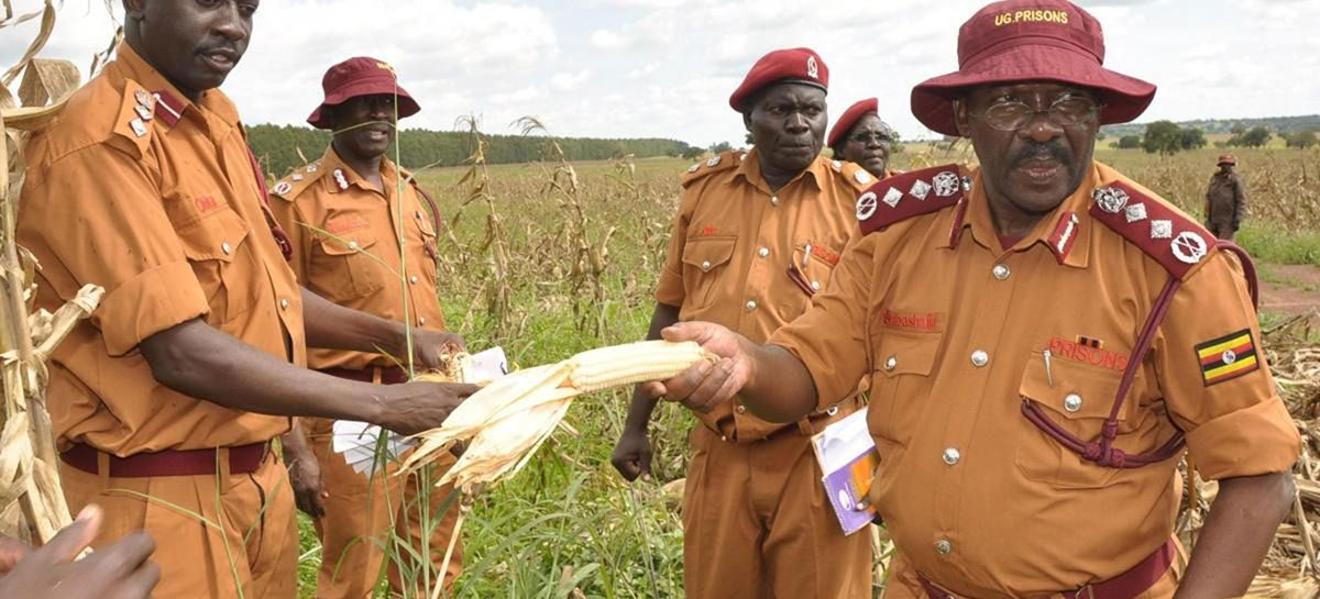 mps call for urgent construction of mini max prison in mbarara