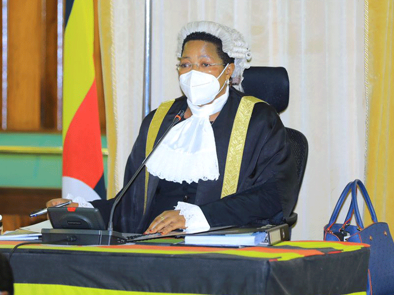 parliament pledges to curb public borrowing anita among