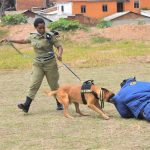 uganda police dogs resolve thousands of cases