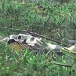 updf commences investigation into fatal helicopter crash at kabarole ntoroko border