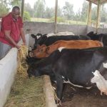 Minister Calls for Affordable Animal Feeds