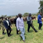 Nshaara Government Ranch encroachers given two weeks to vacate