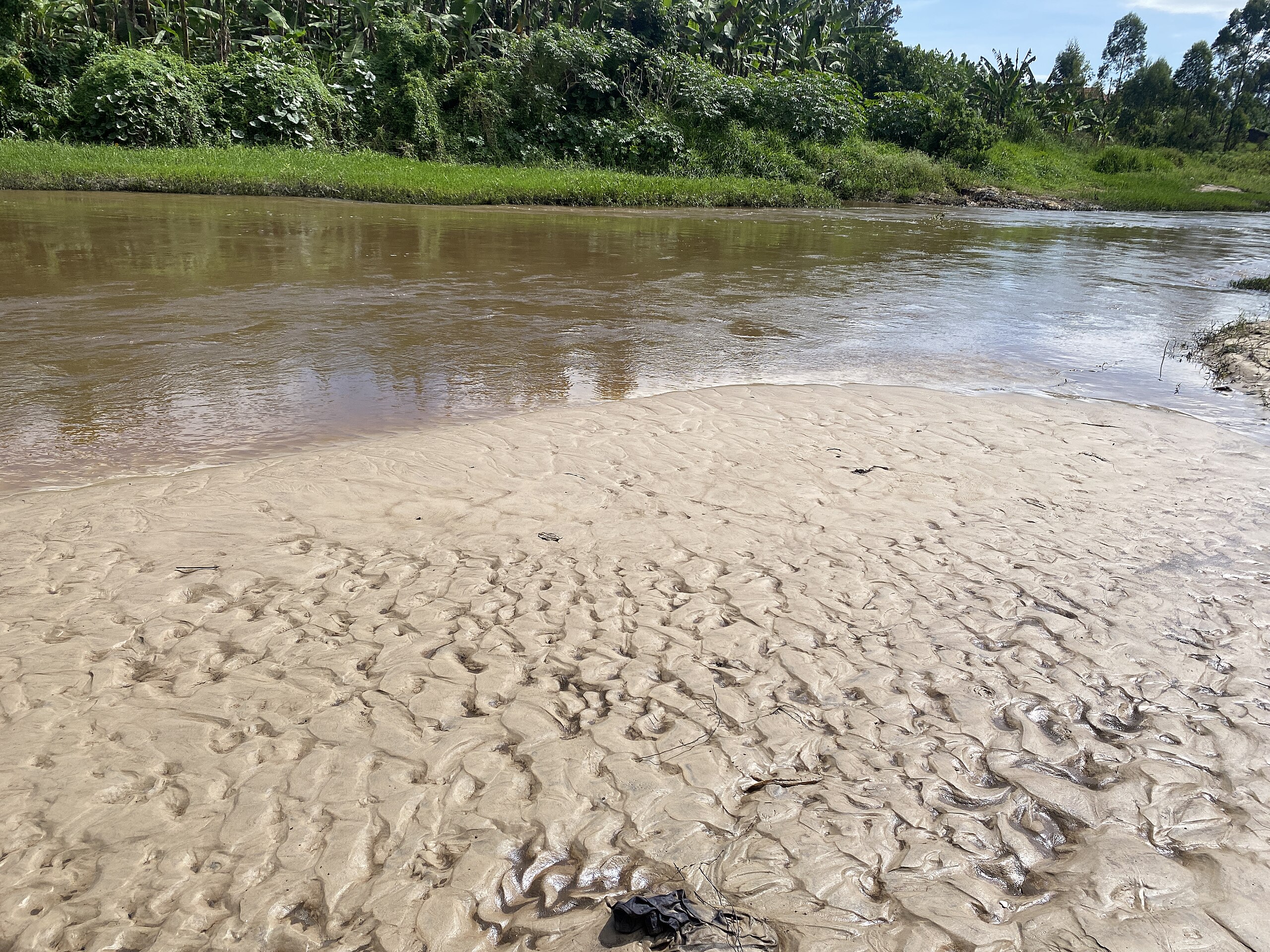Sand deposits and vegetation around river Rwizi in Mbarara in western Uganda 01