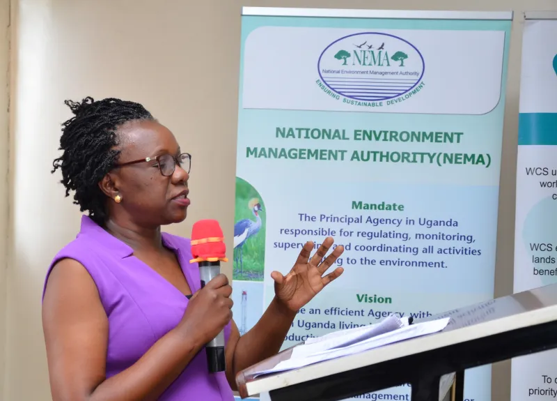 The National Environment Management Authority (NEMA)