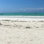 alcohol shortage affects tourism in zanzibar
