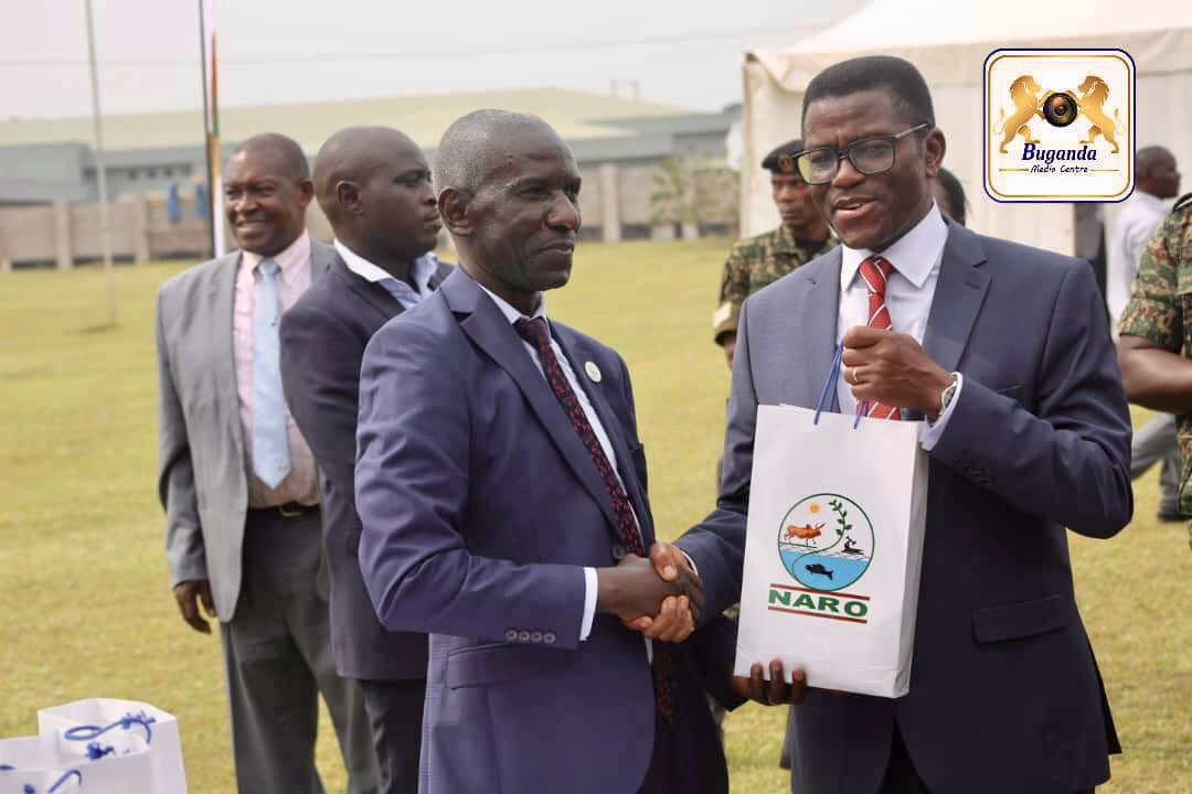 buganda kingdom promotes agricultural innovation in collaboration with naro