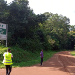 bugoma forest 8000 hectares lost to encroachment