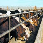 farmers to pay for fmd vaccine starting next fiscal year