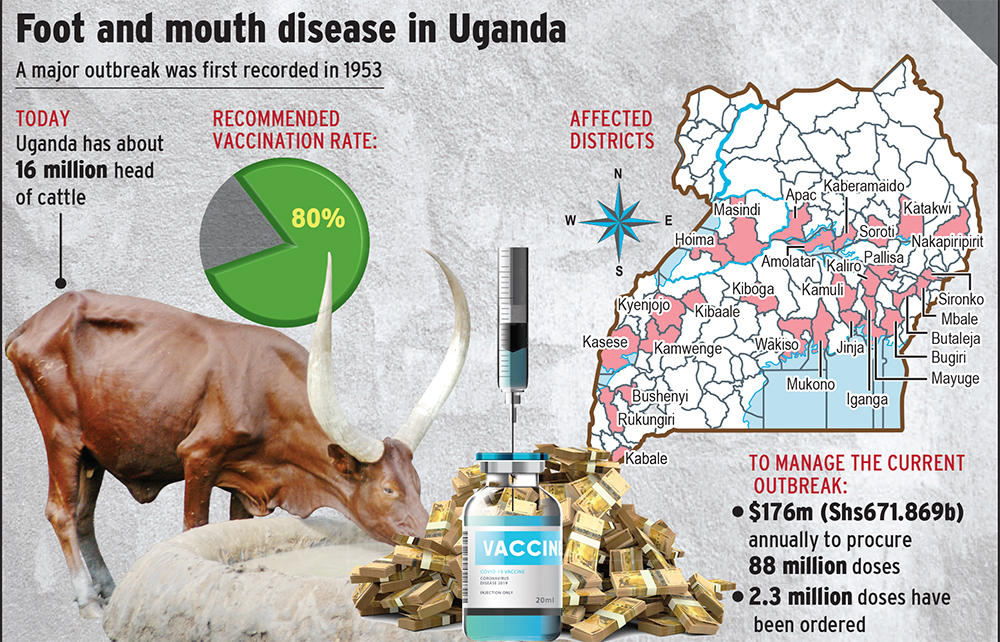 foot and mouth disease outbreak in bushenyi quarantine raises concerns for revenue collection