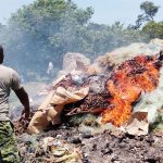masaka authorities crack down on illegal fishing nets and immature fish destroyed