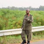museveni declares 2024 as year of wetlands