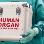 tackling organ trade fears ugandas transplant regulations