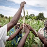 uganda taps diaspora for agricultural advancement