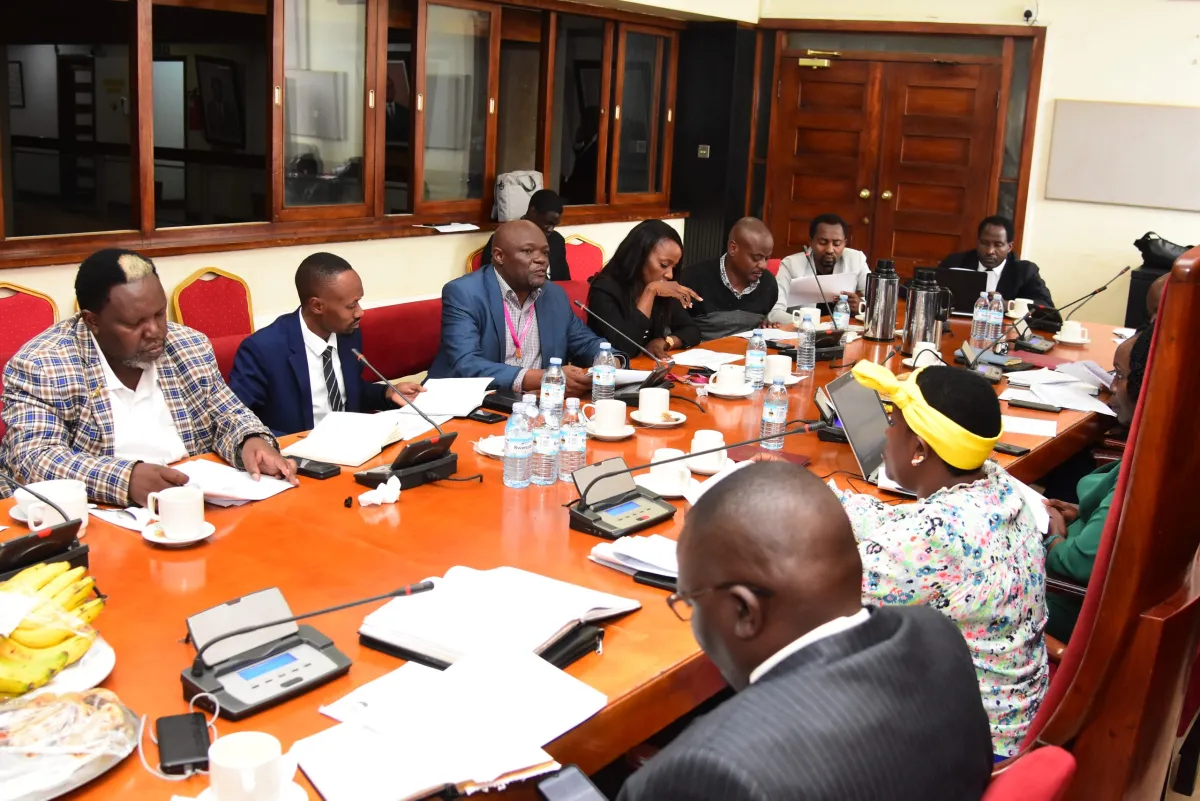 Bar Owners Urge Parliament to Address Priority Issues over Alcohol Regulation