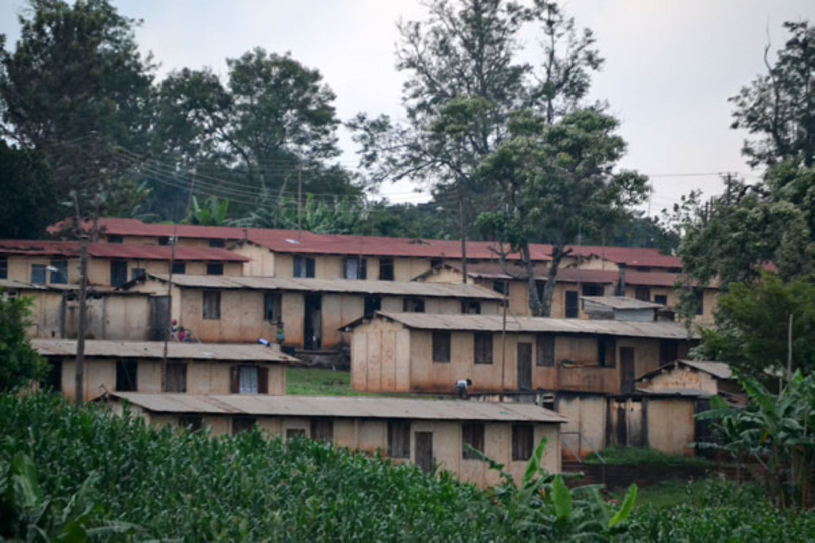 PHOTO -- Housing in Nsambya Police Barracks