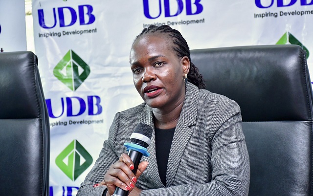 UDB Approved loans to create 18,500 jobs
