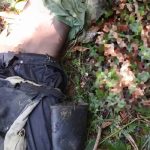 ADF Commander 'Baghdad' Eliminated in Joint Military Operation