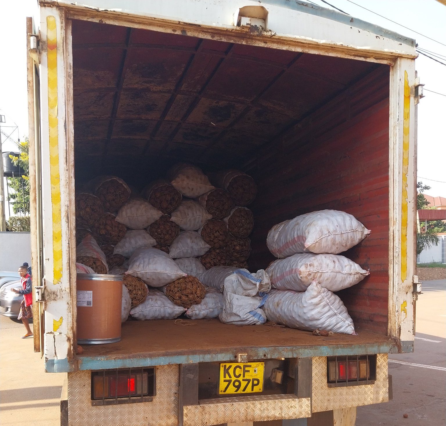 Irish Potatoes Kenya