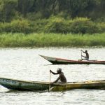 Kasese's Fishing Woes: Lake Edward Struggles with Water Hyacinth