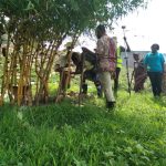 Man Feeds on Pasture in Kasese Municipality