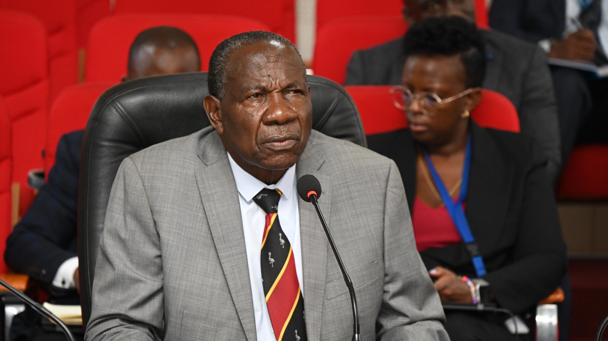 Honorable Minister of Finance, Planning, and Economic Development Uganda