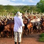 President Museveni at a Ranch in Gomba