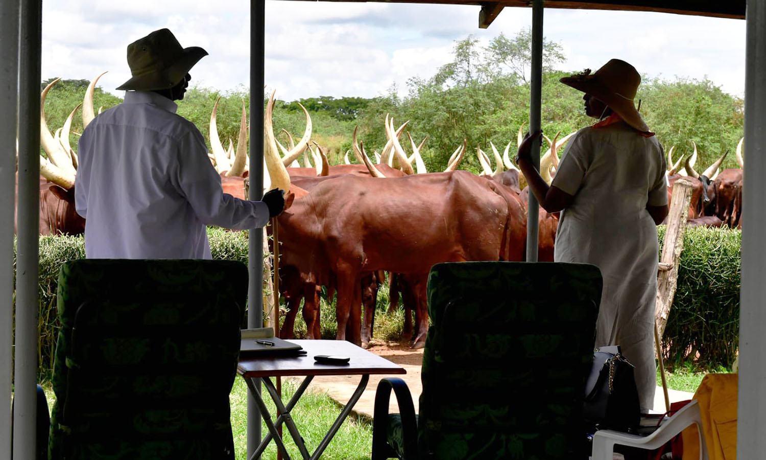 Speaker Among Proposes Taxing Cattle to Boost Revenue