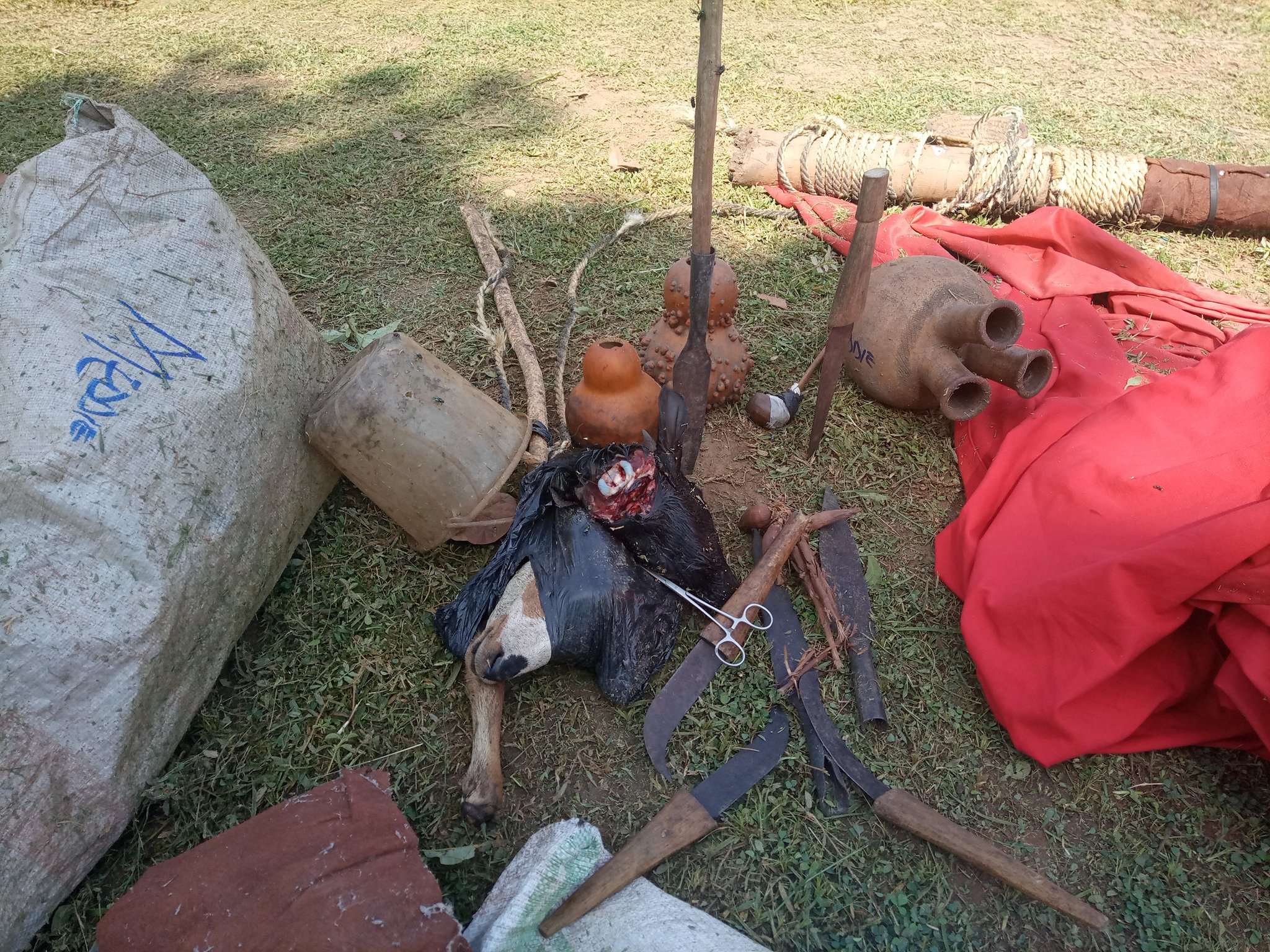 Witch Doctor Claims Share of Namboole Stadium Renovation Budget