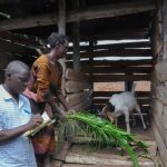 Livestock Theft Plagues Kikuube Residents