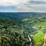 Kalangala District, with its 32 forest reserves, has not been faring well in the forest conservation department. Reports suggest that deforestation is rampant, with illegal timber harvesting seemingly protected by certain “invisible” officers.