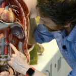Taking care of your kidneys is crucial for overall health. Moderating your intake of pain relievers, salt, meat, sugar, alcohol, and avoiding smoking and sitting for too long can help protect these vital organs and prevent serious health issues.