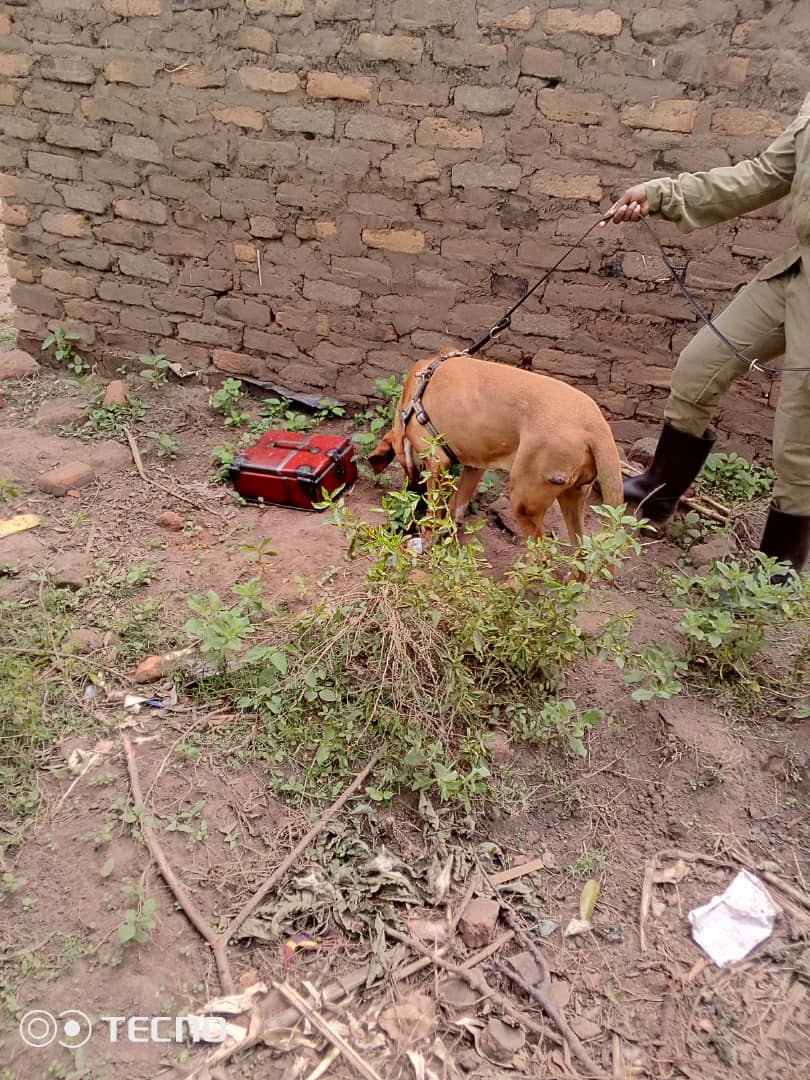 Moroto Murder Suspect Arrested After Canine Unit Leads Police to Crime Scene