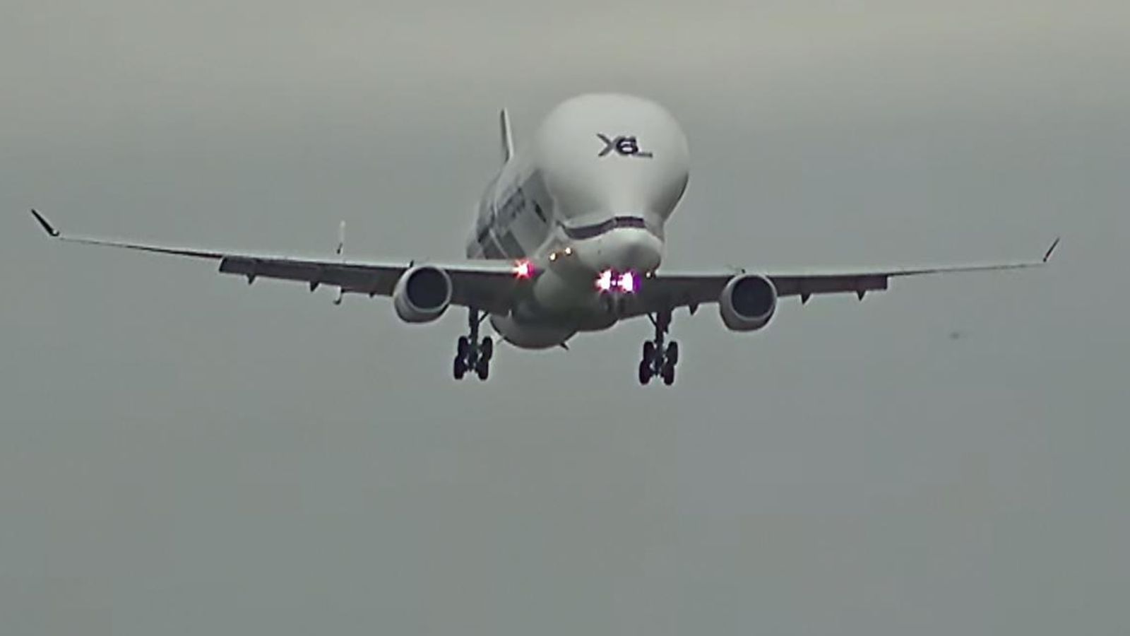 An unusual sight at London’s Heathrow Airport caught the attention of onlookers as the Airbus Beluga, a plane designed to carry large cargo, landed to deliver critical parts for a grounded British Airways aircraft. The plane, named after the beluga whale due to its distinct shape, made the journey from Toulouse, France.