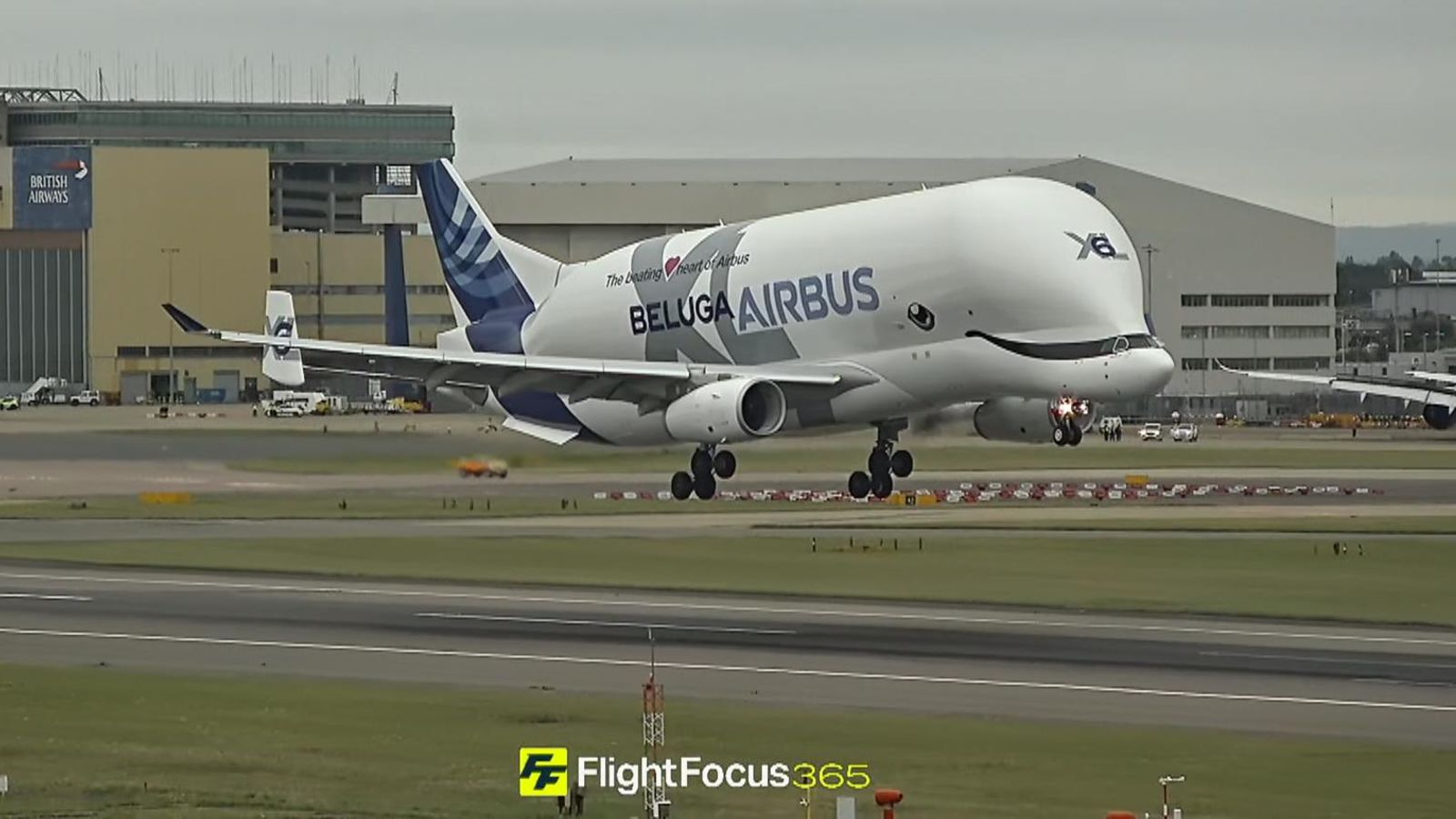 Strange Plane Lands at Heathrow Airport. Beluga Airbus Plane