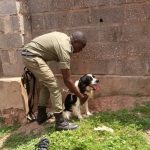 Kampala Church Robber Arrested by Police Dog