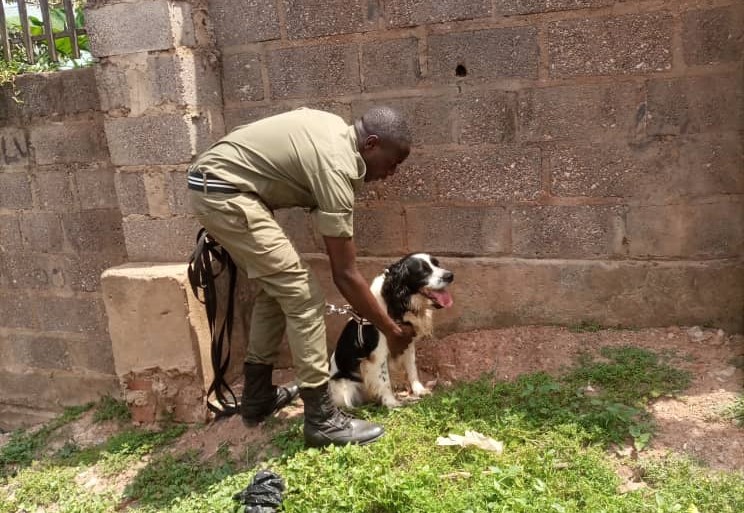 Kampala Church Robber Arrested by Police Dog