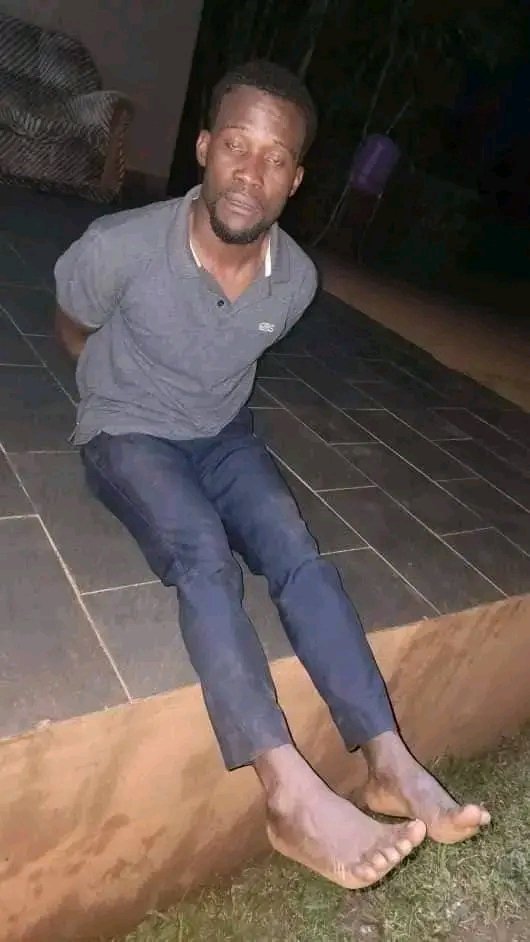 Bobi Young