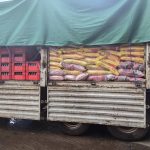 (Busia) – Enforcement officials in Busia have successfully intercepted a Coca-Cola distributor truck attempting to smuggle over five tons of assorted rice, demonstrating their commitment to combating illegal activities in the region.