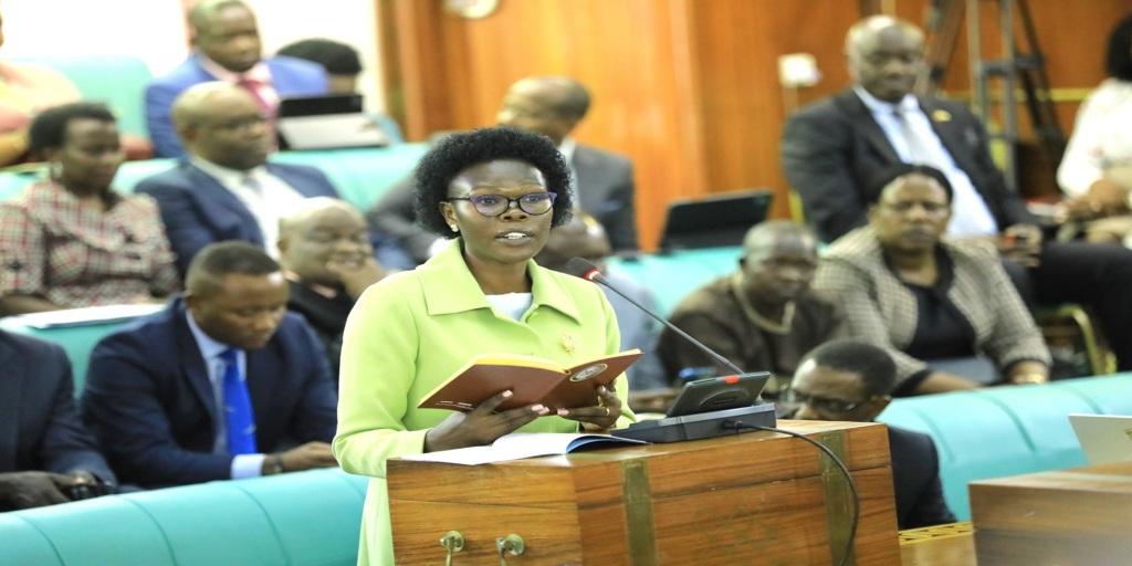 MPs Question Minister Over Industrial Parks Delay