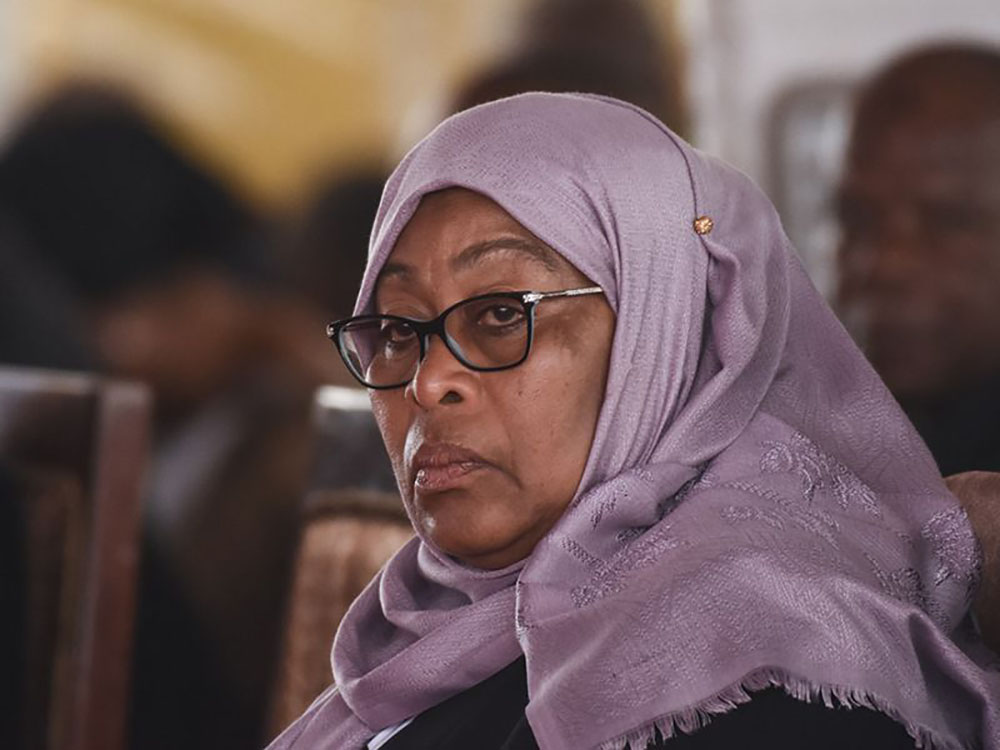 Tanzanian Government Blocks Newspaper for Animation Featuring President Hassan