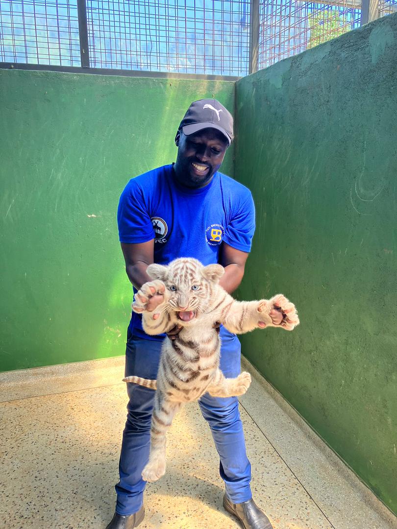 Ugandan Zookeepers Launch Program to Support Students Near Wildlife Zones