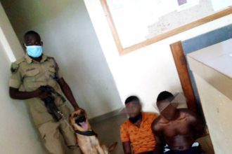 Police in Mitooma District have arrested two suspects and are searching for a third after the murder of a mother and her son in their home.