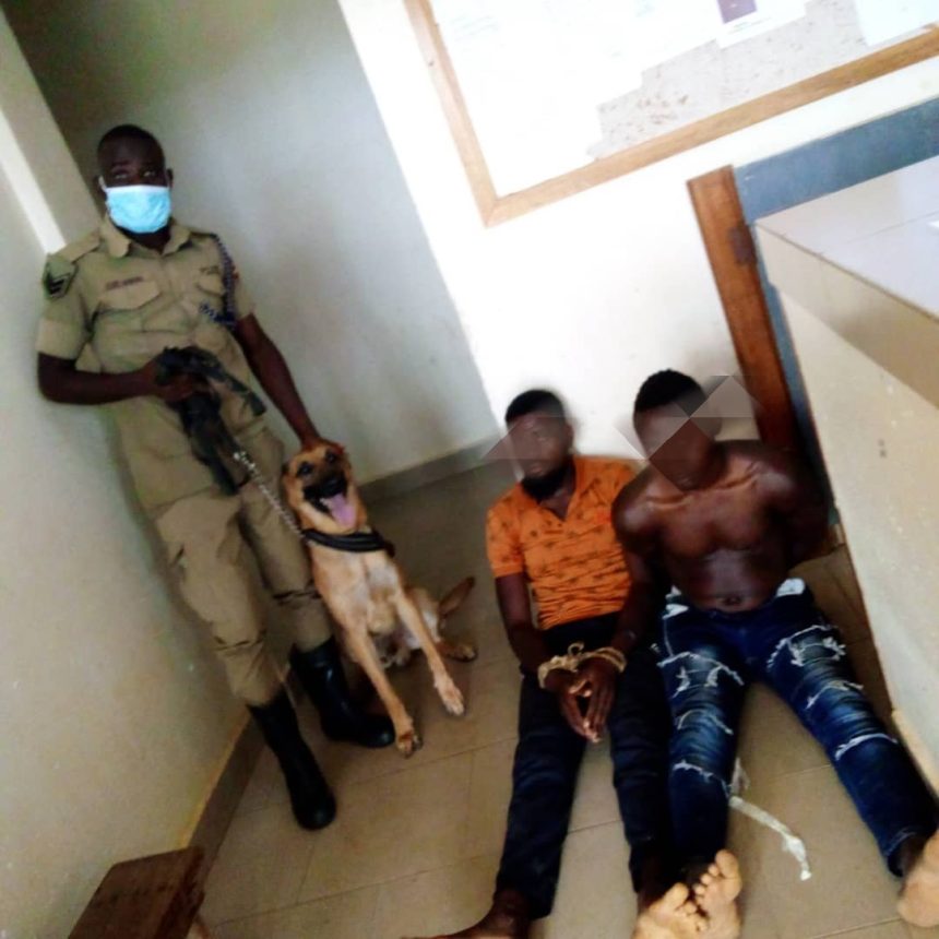 Police in Mitooma District have arrested two suspects and are searching for a third after the murder of a mother and her son in their home.