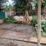 NEMA has shut down a cattle farm in Kololo after complaints about pollution, including odor and noise, with the farm owner instructed to transfer the cows and manage the waste properly.